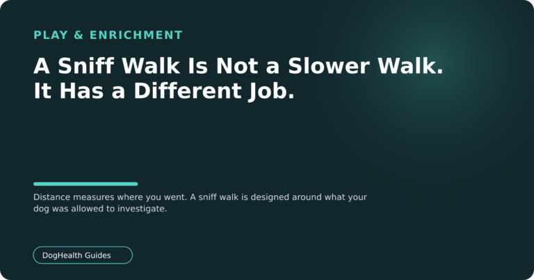 A Sniff Walk Is Not a Slower Walk. It Has a Different Job. — Distance measures where you went. A sniff walk is designed around what your dog was allowed to investigate.