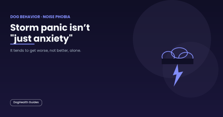 Storm panic isn't "just anxiety" -- illustrative hero image