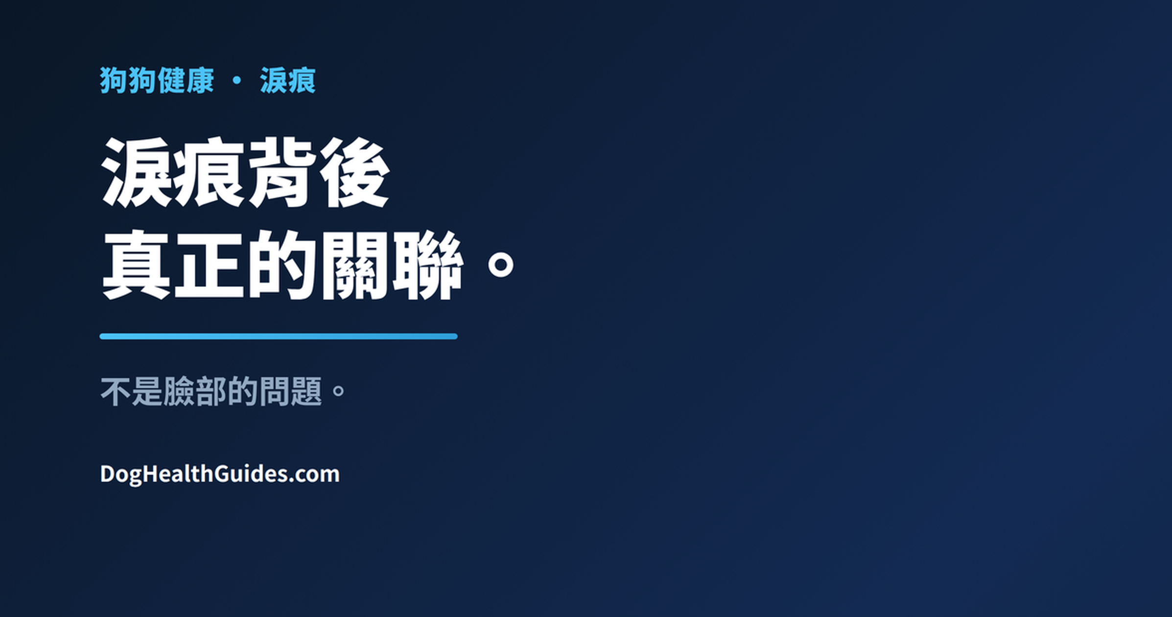 眼睛下方有淚痕的狗狗，展示慢性淚液外溢