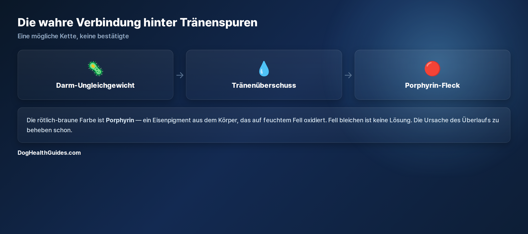 Diagramm: Darm-Ungleichgewicht kann zu Traenenueberlauf beitragen, der sich als sichtbarer Fleck zeigt