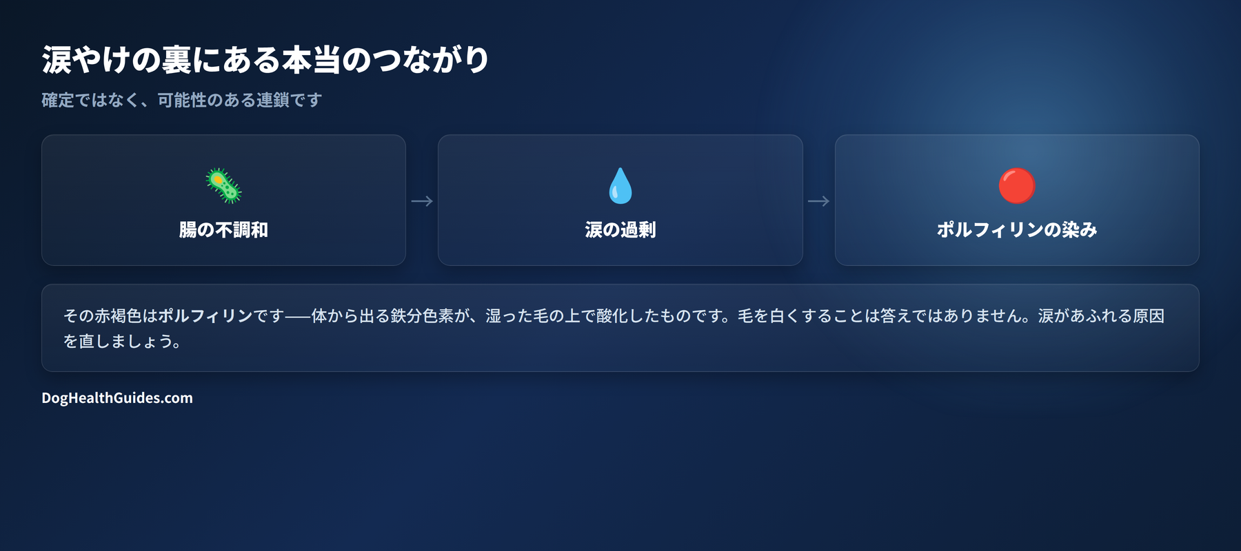 腸の不調和が涙のあふれに寄与し、それが目に見える染みとして現れる可能性を示す図