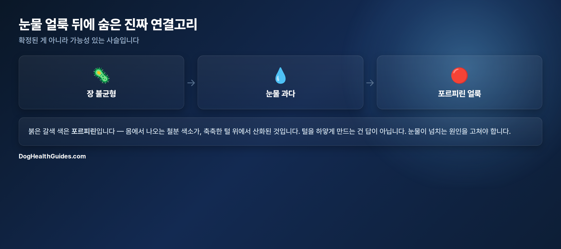 장 불균형이 눈물 과다 분비에 기여할 수 있고, 이것이 눈에 보이는 얼룩으로 나타나는 과정을 보여주는 다이어그램