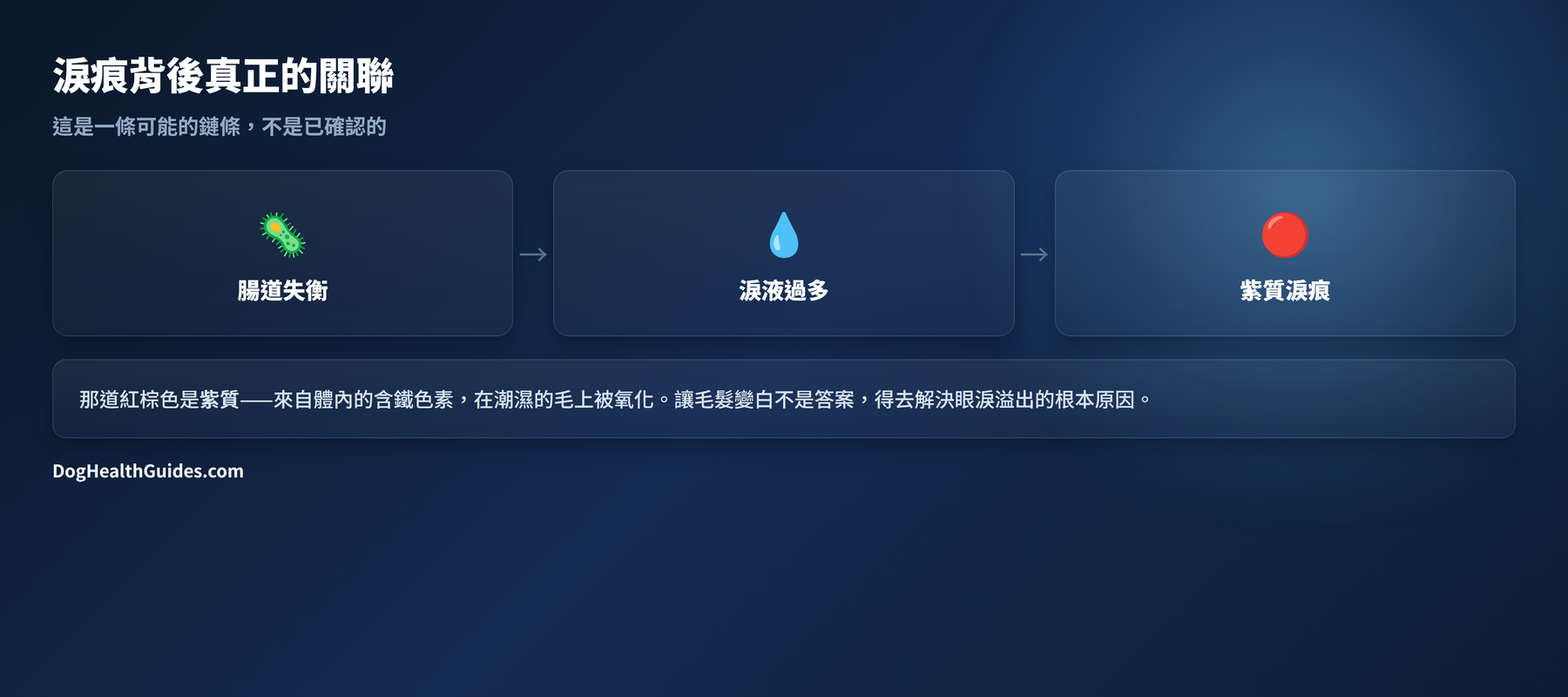 圖示：腸道失衡可能促成淚液溢出，進而表現為可見的淚痕