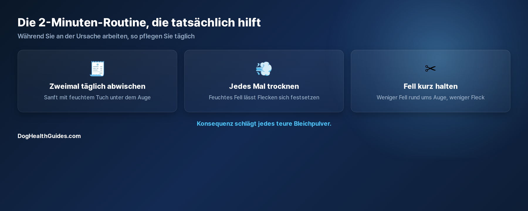 Die 2-Minuten-Routine: zweimal taeglich abwischen, jedes Mal trocknen, Fell kurz halten