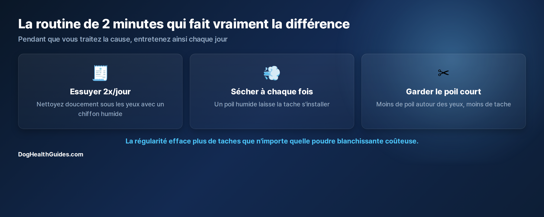 La routine quotidienne de 2 minutes : essuyer deux fois par jour, sécher à chaque fois, garder le poil taillé court