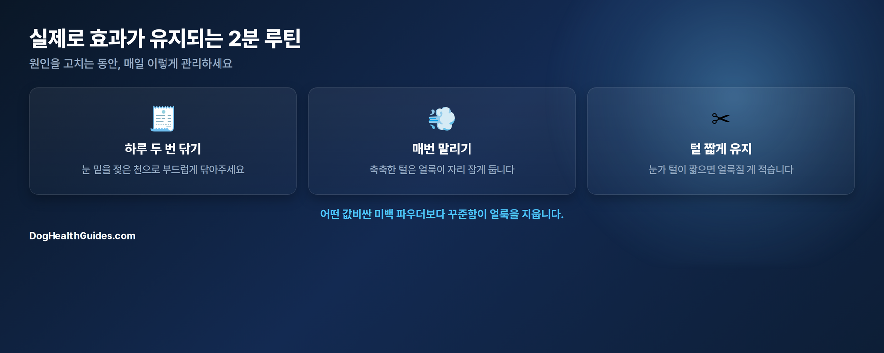 2분 매일 루틴: 하루 두 번 닦기, 매번 말리기, 털 짧게 유지하기