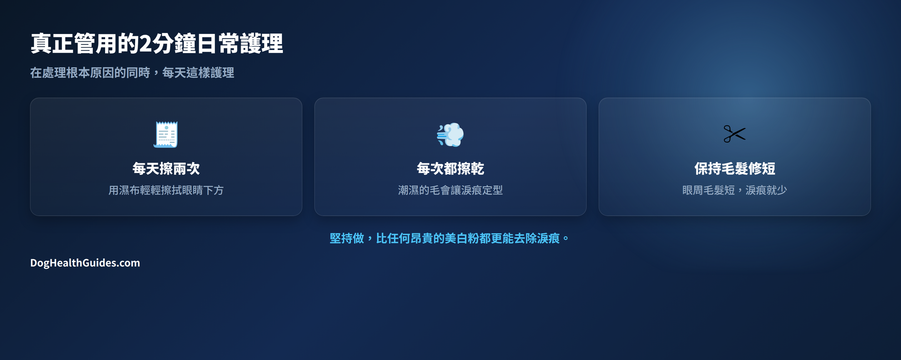 2分鐘每日護理：每天擦兩次，每次都擦乾，保持毛髮修剪整齊