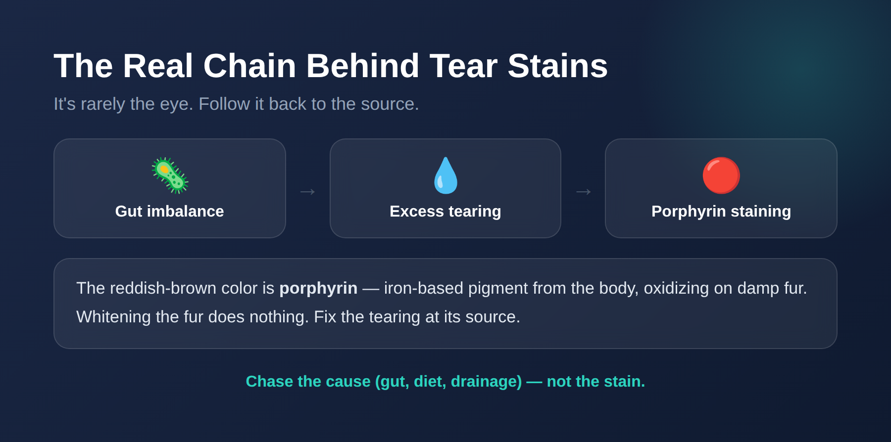 Diagram: gut imbalance leads to tear overflow, which leads to the visible stain