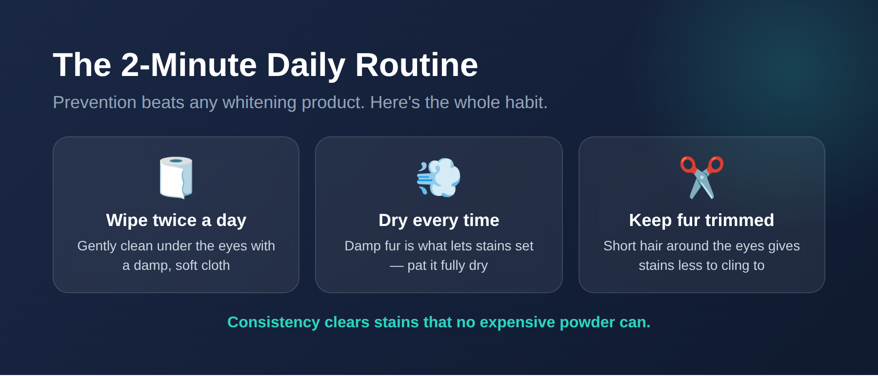 The 2-minute daily routine: wipe twice a day, dry every time, keep fur trimmed