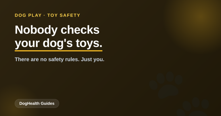 The Hidden Dangers in Your Dog’s Toy Basket (Nobody Regulates These)